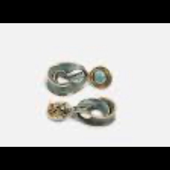 Zara Earrings - Picture 4 of 4